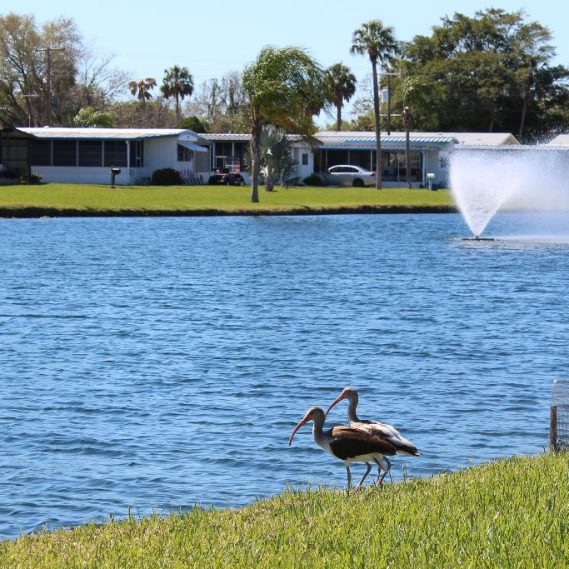 LEISURE LAKE VILLAGE MY JACOBSEN HOMES OF FLORIDA