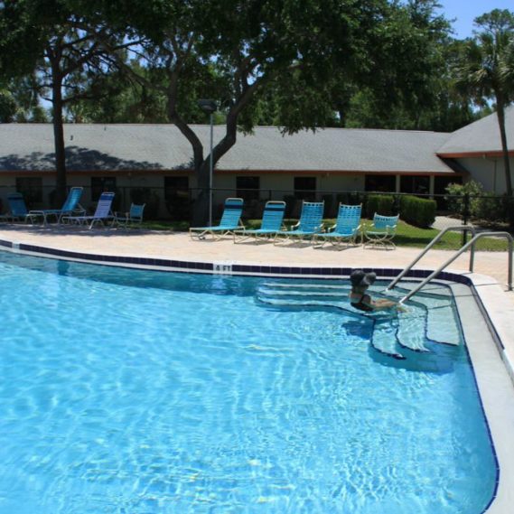 PALM HILL ESTATES MY JACOBSEN HOMES OF FLORIDA