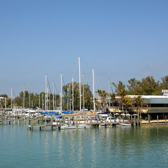 BRADENTON TROPICAL PALMS MY JACOBSEN HOMES OF FLORIDA