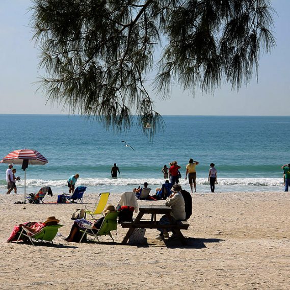 BRADENTON TROPICAL PALMS MY JACOBSEN HOMES OF FLORIDA