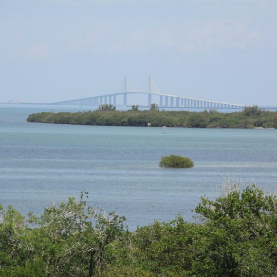 BRADENTON TROPICAL PALMS MY JACOBSEN HOMES OF FLORIDA